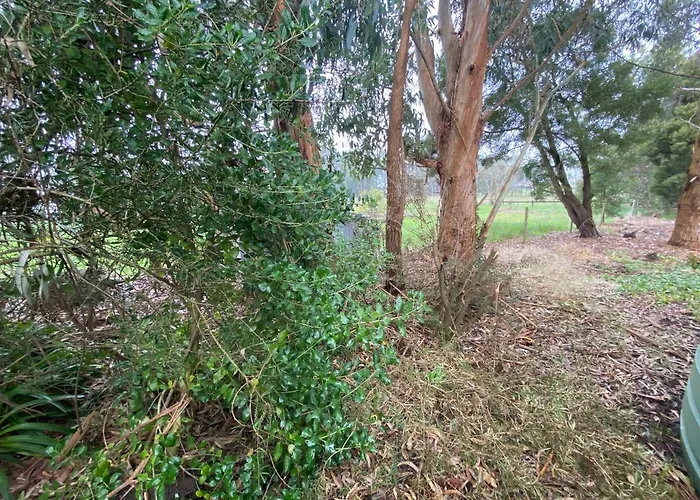 Richo\'S Retreat, 1 Bed Unit Near Great Ocean Road